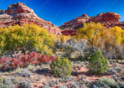 AdobeStock 186215402 Preview