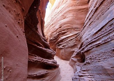 AdobeStock 201051706 Preview