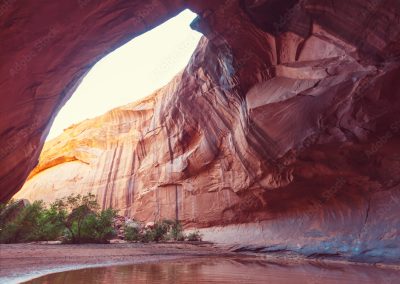 AdobeStock 210415249 Preview