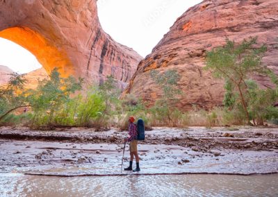 AdobeStock 248268490 Preview e1666191183821