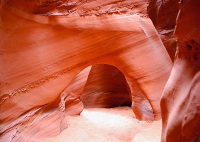 AdobeStock 285380420 Preview