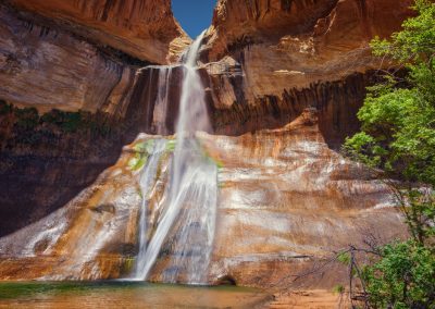 AdobeStock 311074646 Preview