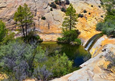 AdobeStock 382937359 Preview