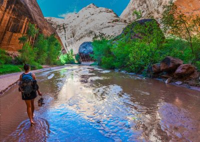 AdobeStock 87578711 Preview