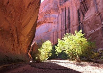 Escalante Yurts Luxury Yurts Southern Utah red rock