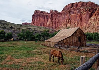 Escalante Yurts mountains with horse and barn