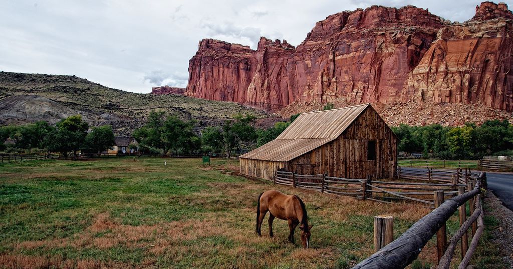 Escalante Yurts Our Story mountains with horse and barn