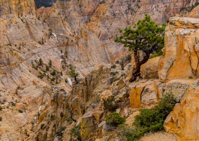 Escalante Yurts Plan Your Visit Hells Backbone
