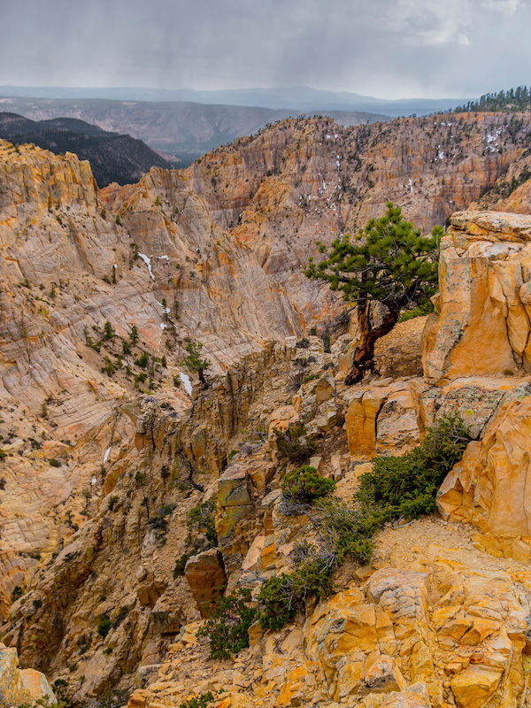 Peekaboo Slot Canyon, a hiker's paradise in southern Utah