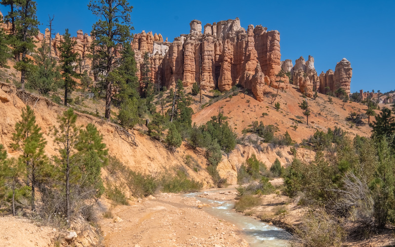 Escalante Yurts Plan Your Visit Mossy Cave Trail
