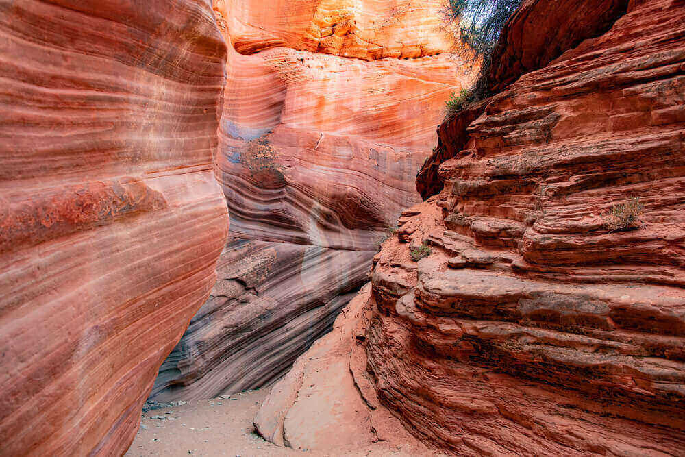 The Golden Cathedral and Neon Canyon