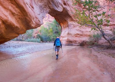 Escalante Yurts Plan Your Visit slickrock guides