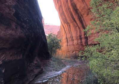 Escalante Yurts Policies escalante rocks