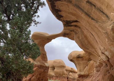 The Devil's Garden in the Grand Staircase Region