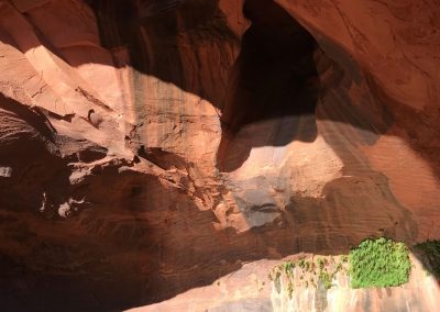 The Golden Cathedral and Neon Canyon