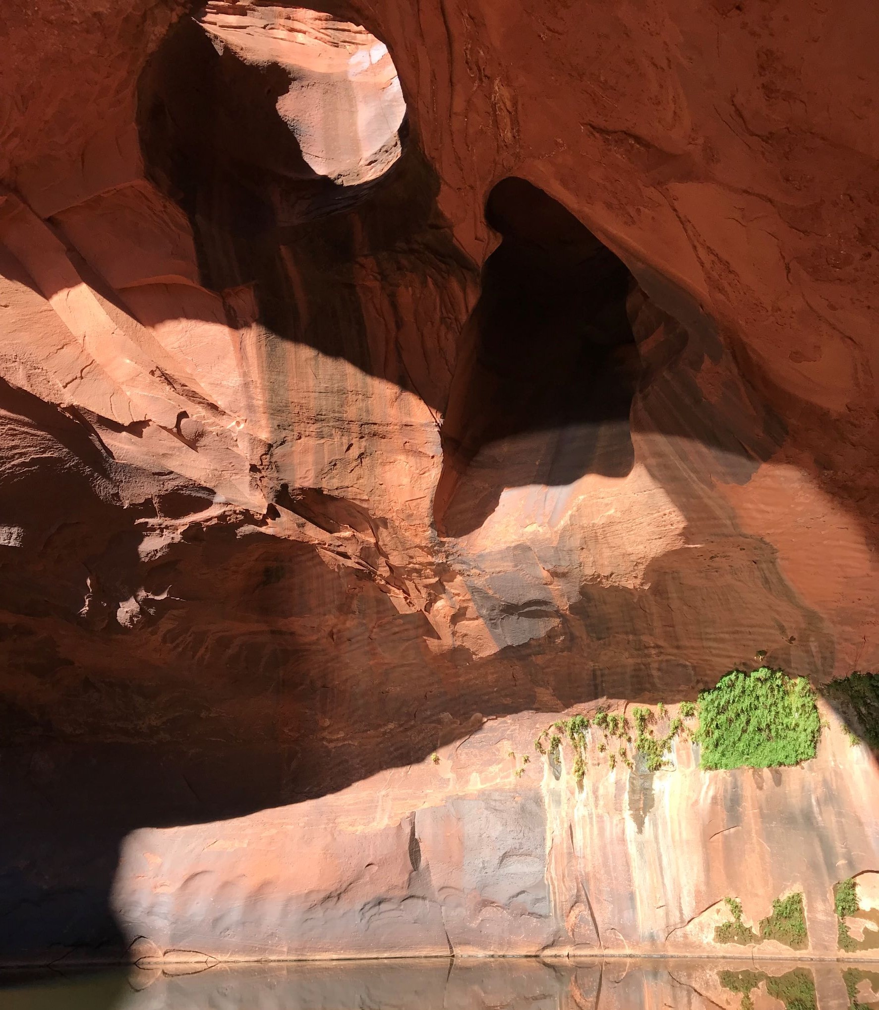 The Golden Cathedral and Neon Canyon