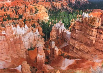 Bryce Canyon hoodoos