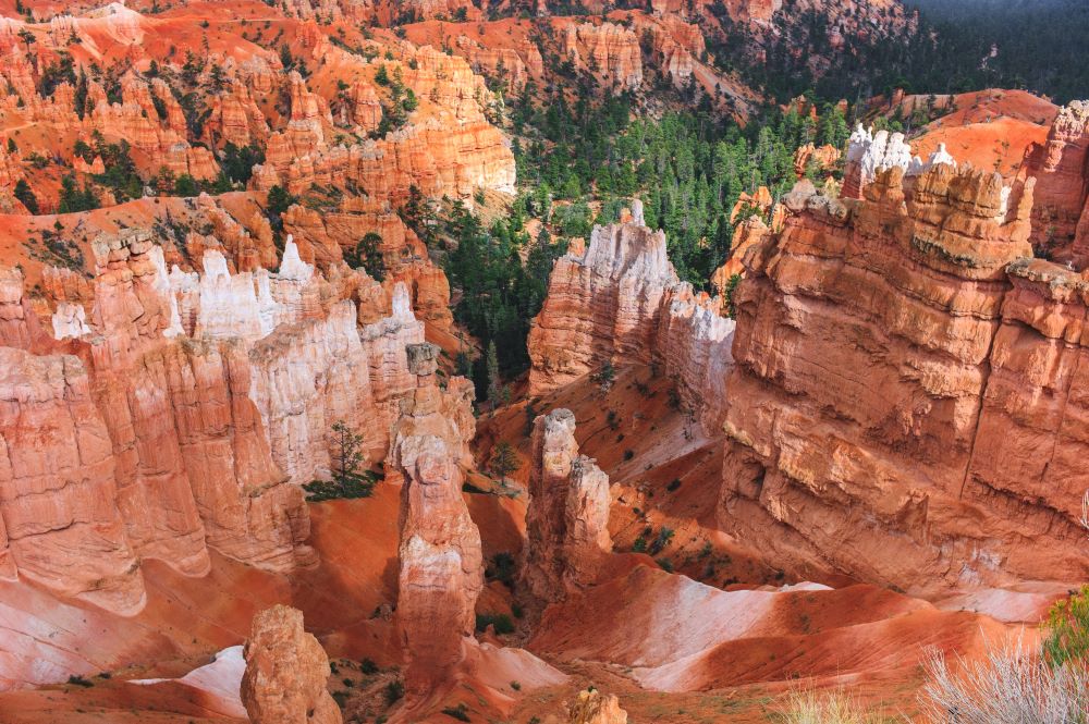 Bryce Canyon hoodoos
