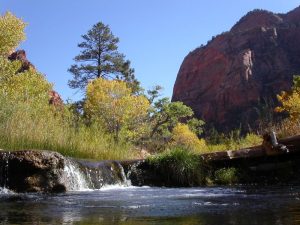 LaVerkin Creek in Zion National Park