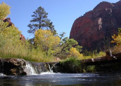 LaVerkin Creek in Zion National Park