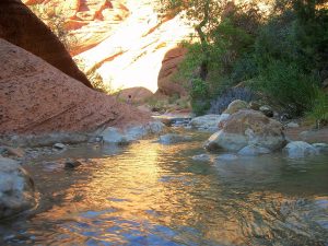 Red Reef Trail for family-friendly nature adventues in southern Utah
