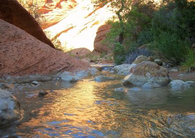 Red Reef Trail for family-friendly nature adventues in southern Utah