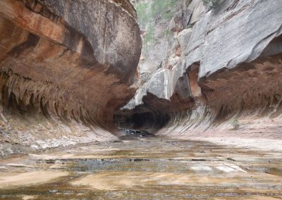 The Subway Slot Canyon in Zion National Park