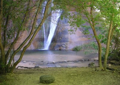 Flora Along the Calf Creek Falls Trail