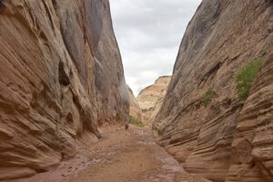 Capitol Reef Adventures: 6 Bucket List Activities to Add to Your List 1 Capitol Reef adventures includes Capitol Gorge
