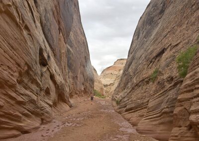 Capitol Reef adventures includes Capitol Gorge