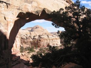 Family-friendly nature adventures in Capitol Reef National Park