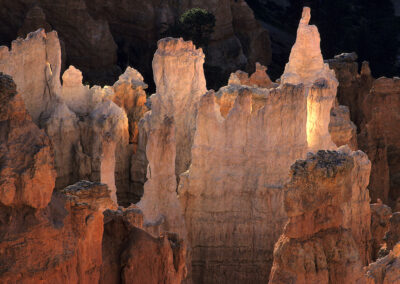 Family friendly nature adventures in Bryce Canyon