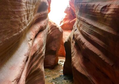 Family-friendly adventures include slot canyons