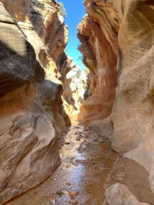 Escalante Yurts is close to nearby fun for your group getaway.