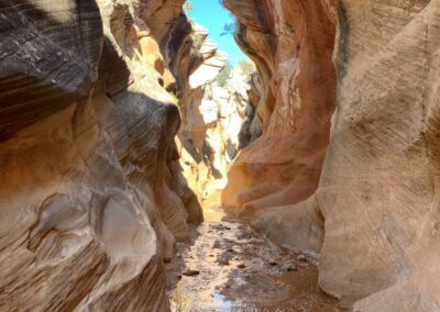 Escalante Yurts is close to nearby fun for your group getaway.