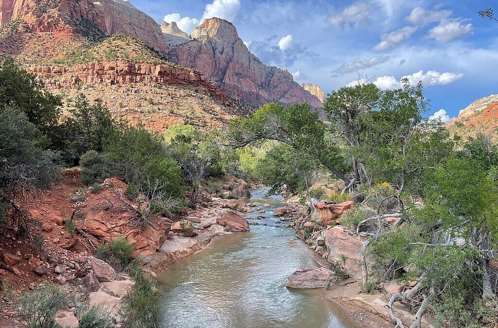 6 Wildlife Photo Ops in Zion National Park