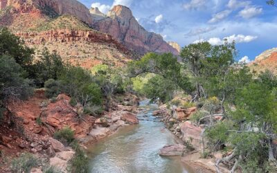 6 Wildlife Photo Ops in Zion National Park