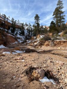 Canyons offer particularly cozy winter adventures in Escalante, Utah