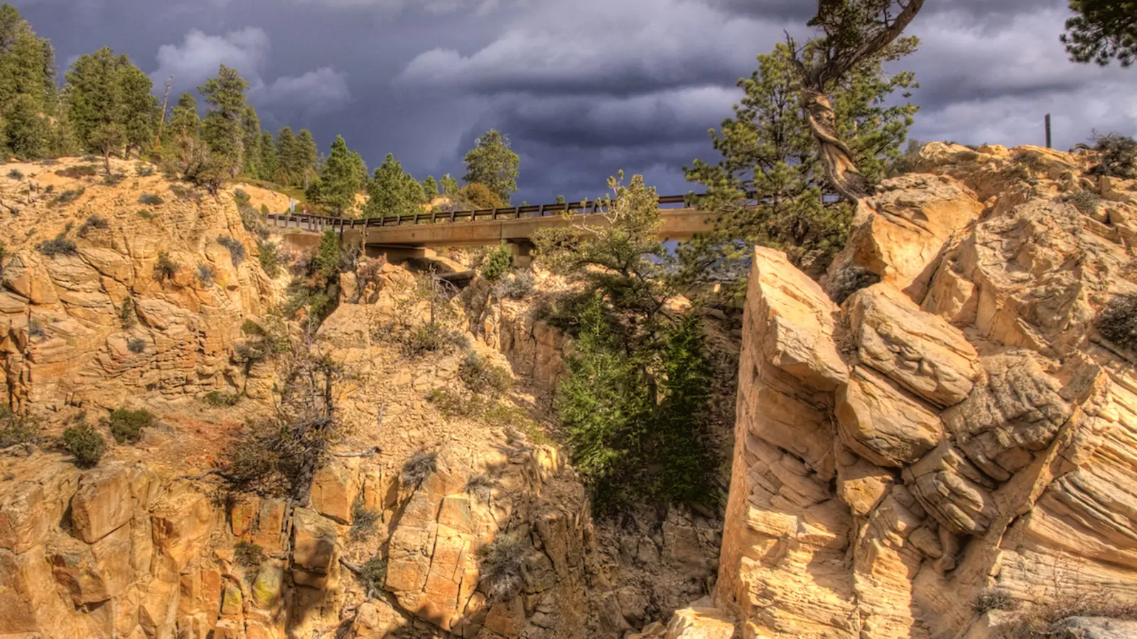 The Golden Cathedral and Neon Canyon