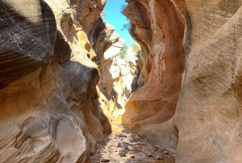 Willis Creek is one of the best spring slot canyons near Escalante, Utah