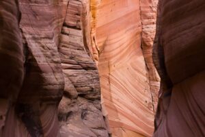 Zebra Slot Canyon is one of the best spring slot canyons near Escalante, Utah